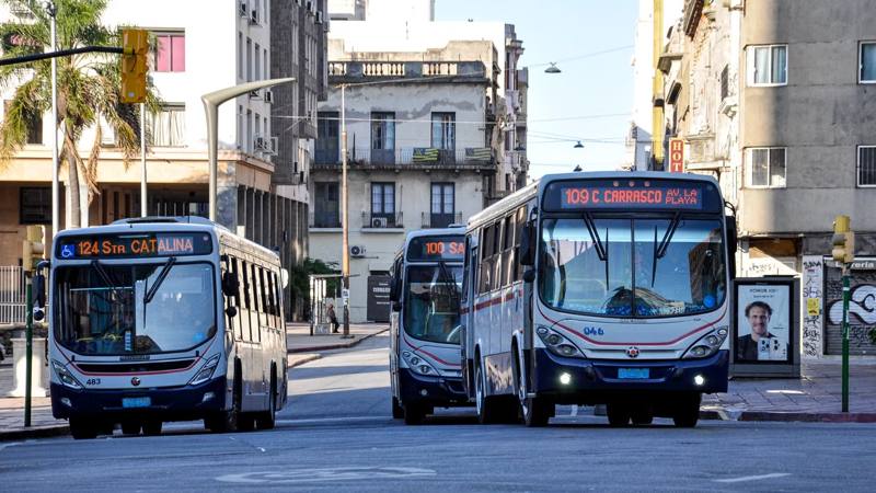 Autobuses en una avenida
